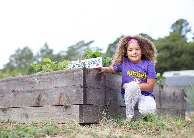 A little girl wearing a purple Annie's t-shirt, kneeling next to a garden of strawberries.