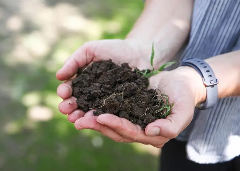 Hands cupped together, holding a scoop of rich, dark soil.