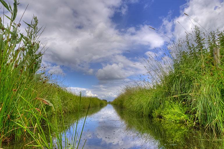 Water way through a green meadow with clouds in the sky.