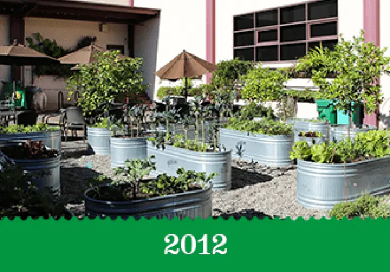Year 2012 - The Berkeley building's container garden.
