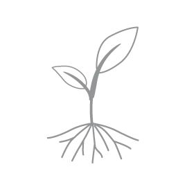 A gray and white illustration of a plant sprouting from the ground.