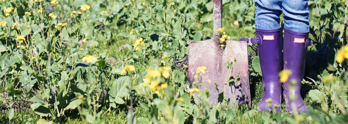 Close up of purple boots and a shovel in a field of flowers.
