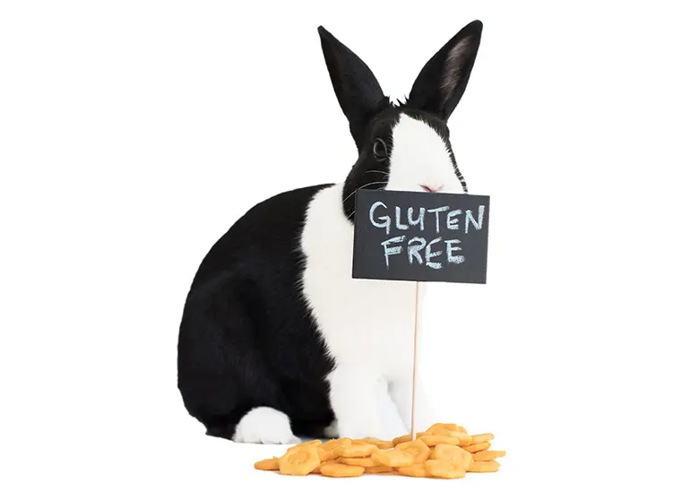 A black and white rabbit hiding behind a sign that reads "Gluten Free"