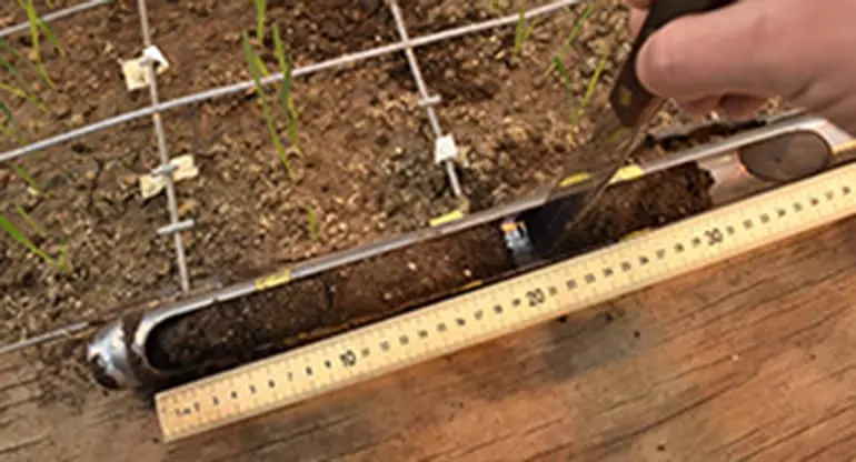 A ruler aligned next to a soil grid.