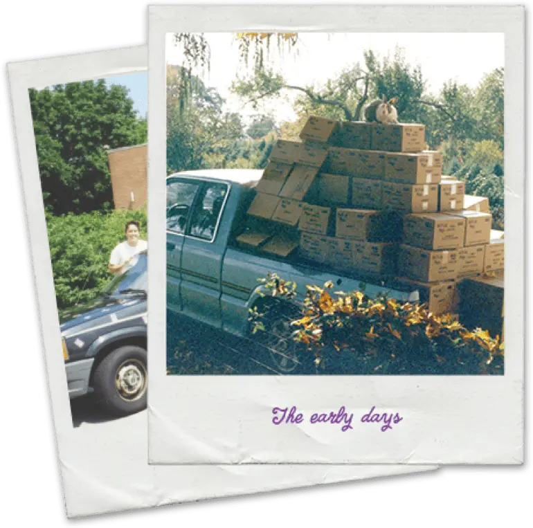 Polaroid photos of a pickup truck filled with Annie's boxes. "The Early Days" is written at the bottom of the top photo.