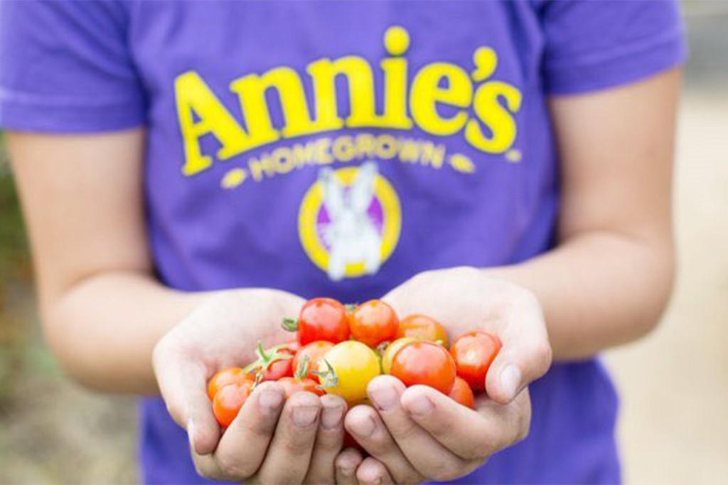 A close up image of a person in a purple Annie's Homegrown tee with arms holding out a handful of cherry tomatoes.