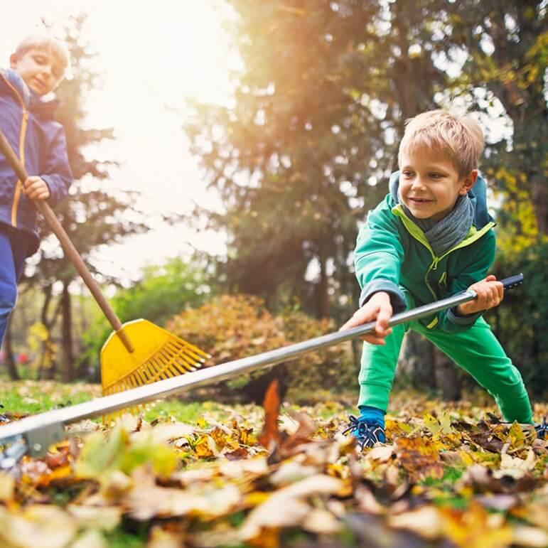Two boys raking leaves together in the fall.